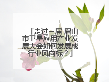 走过三届 眉山市卫星应用产业发展大会如何发展成行业风向标？
